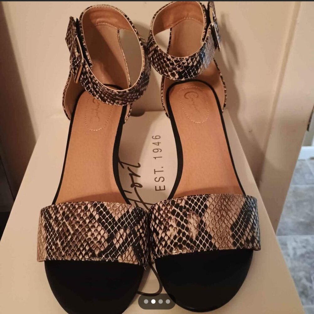Shoes